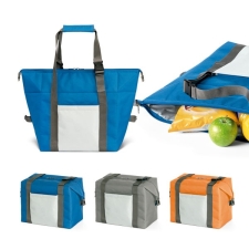 Isothermal bag (TS 02489)