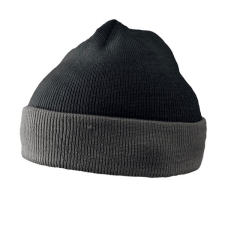 Beanie (ATL WIND 8191)